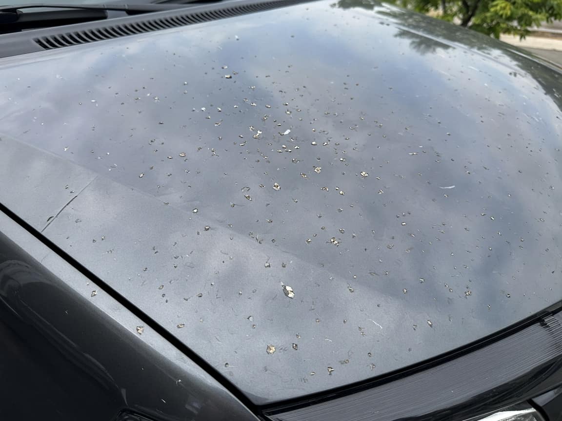 Rock chips on the hood before film