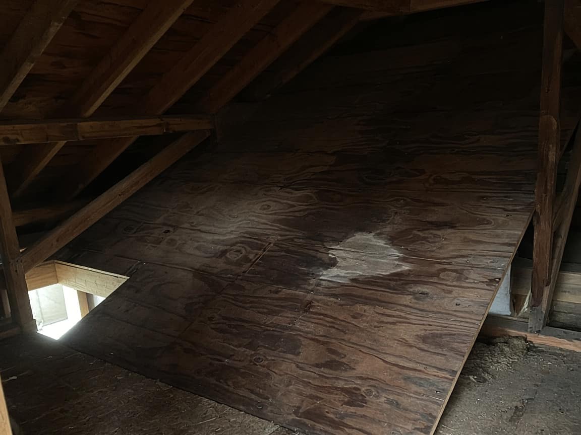 Wet plywood seen from the attic